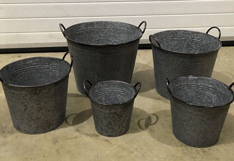 Galvanised bucket planters 6166